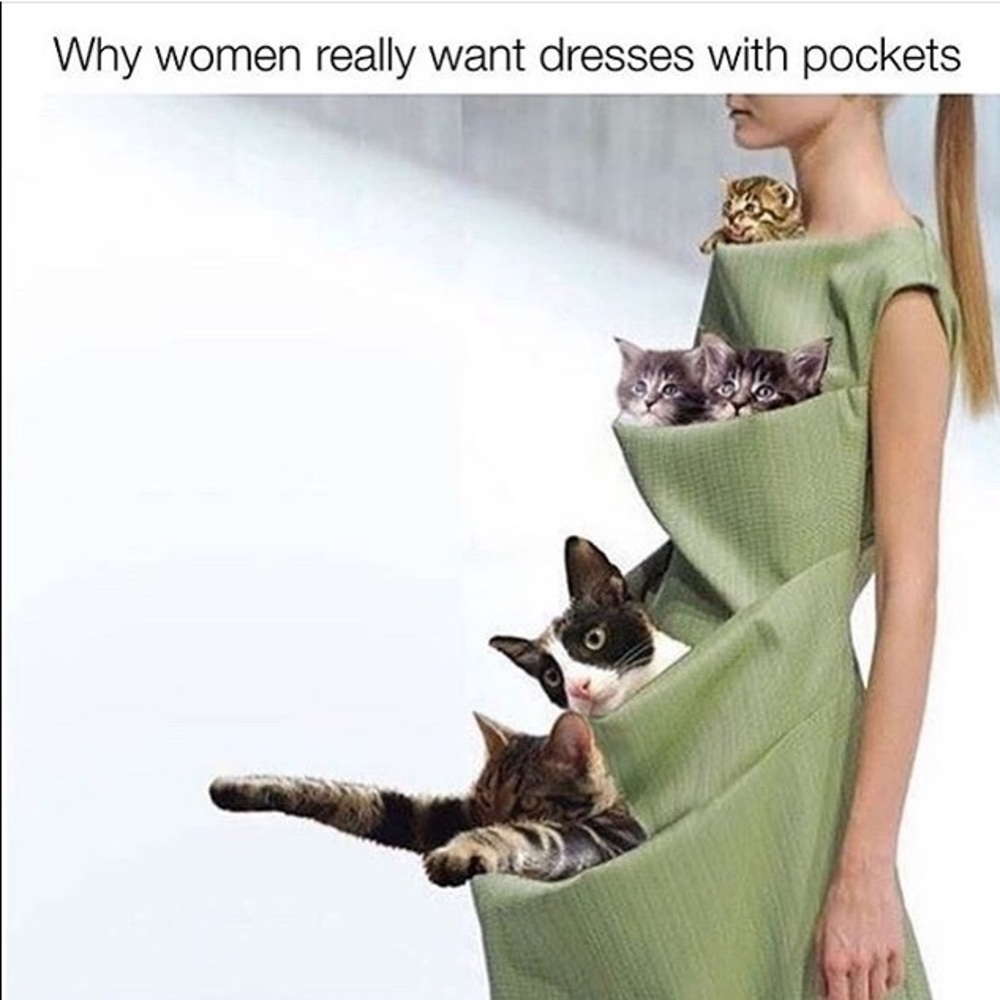 Pockets In My Dresses 👗 🐱